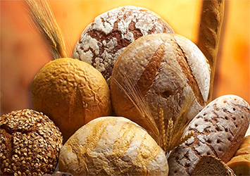 Familiarity with the history of bread in the world